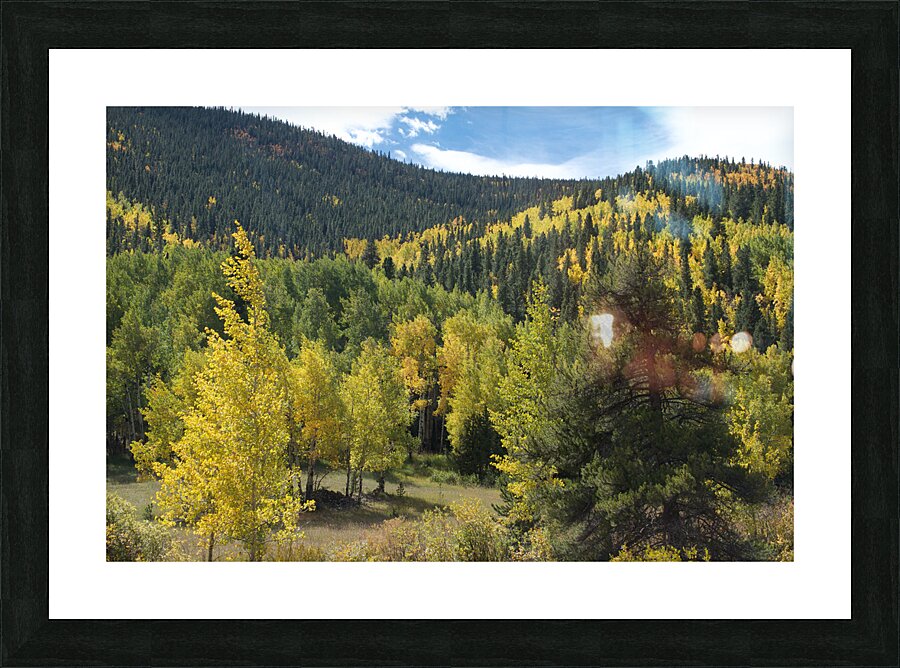 Wavy Fall Colors Picture Frame print