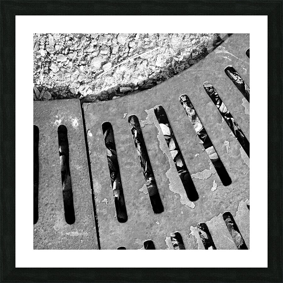 Tree Grate Picture Frame print