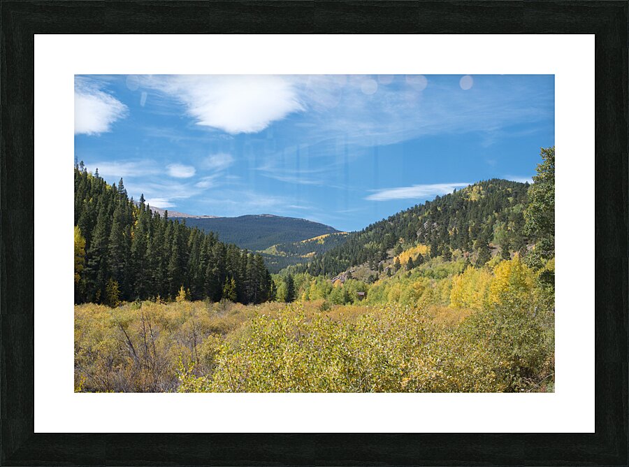 Fall Colors 2 Picture Frame print