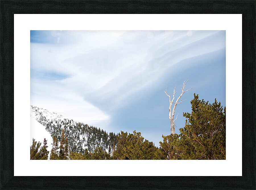 St. Marys 5 Picture Frame print
