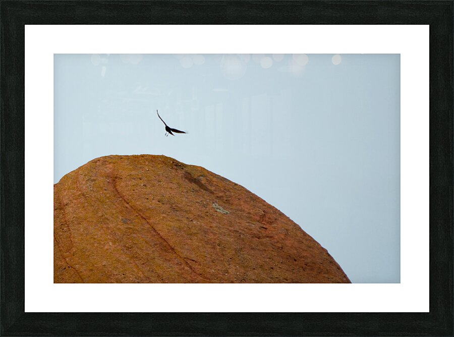 Roxborough 2 Picture Frame print