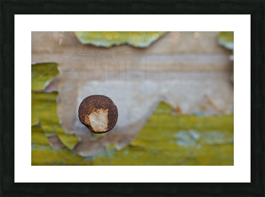 Nail Head Picture Frame print