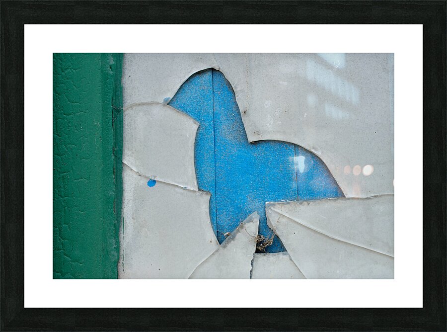 X  Picture Frame print