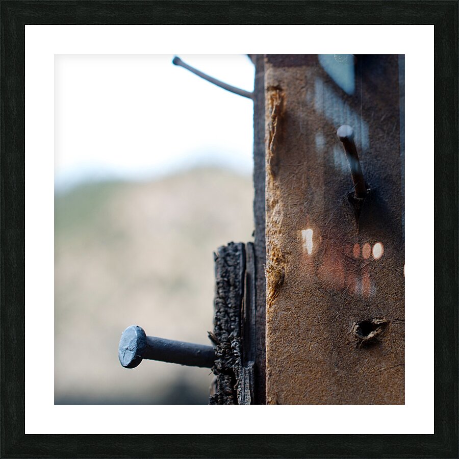 Nails in Wood Picture Frame print