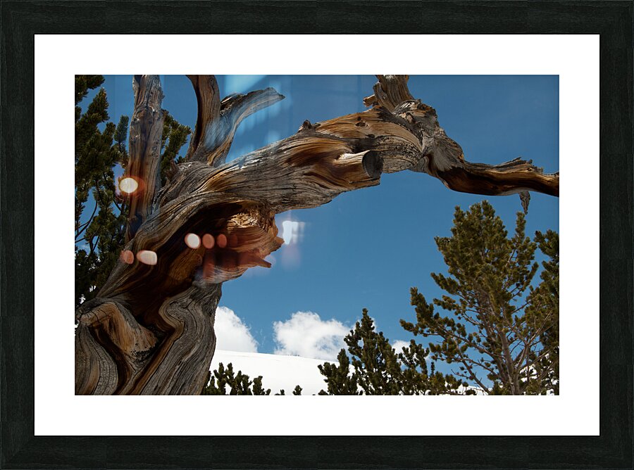 St. Marys 3 Picture Frame print