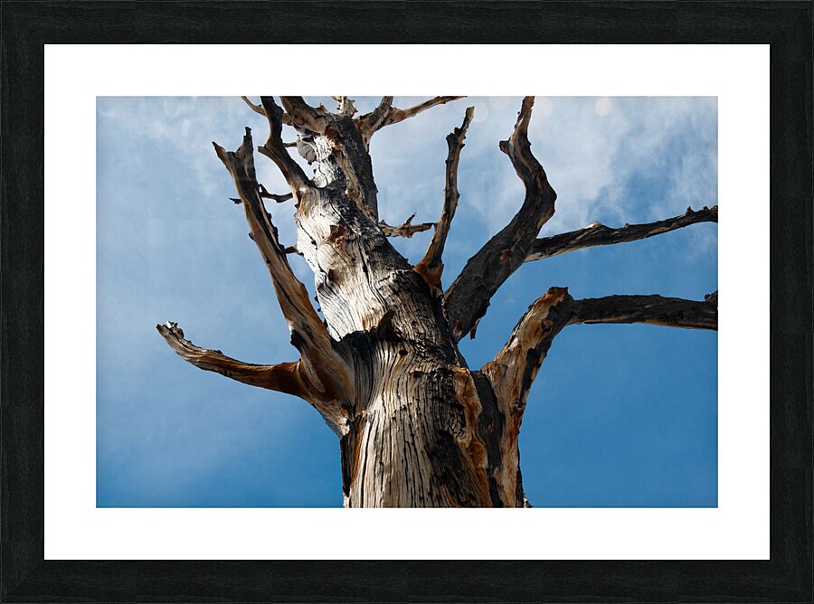 St. Marys 2 Picture Frame print