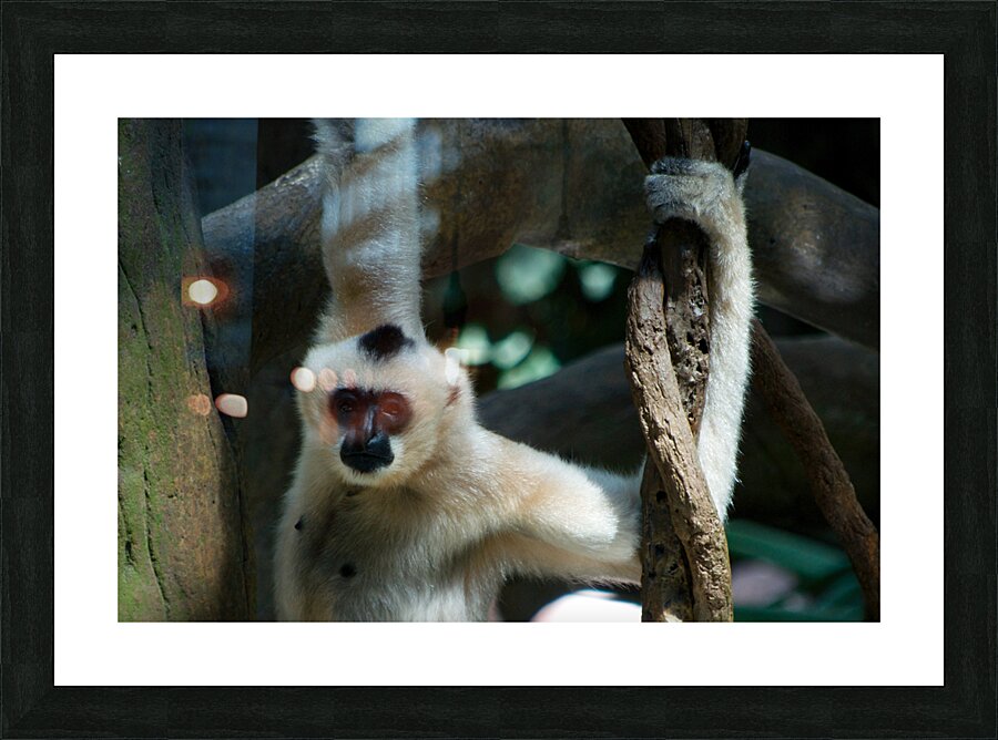 JB0 4813 Picture Frame print