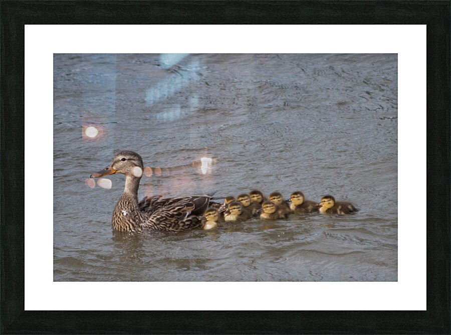 JB0 6189 Picture Frame print