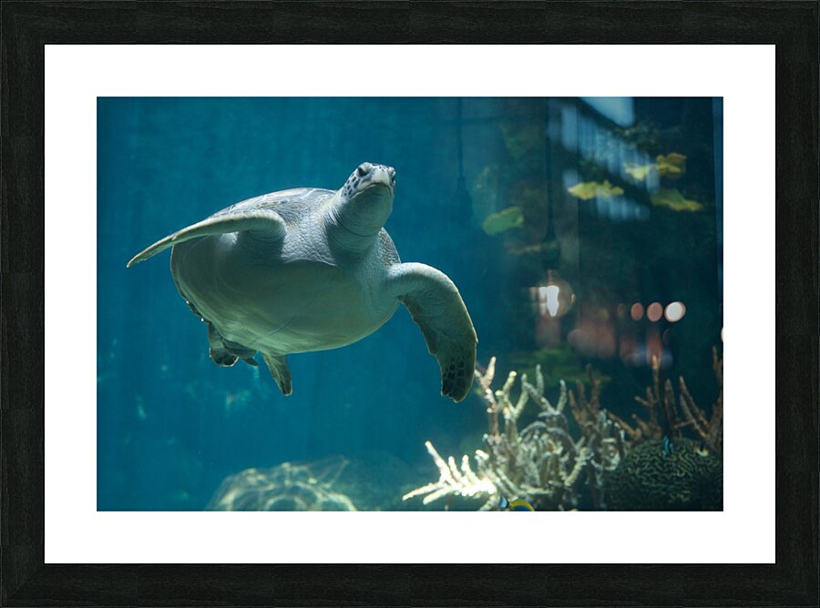 JB0 4847 Picture Frame print