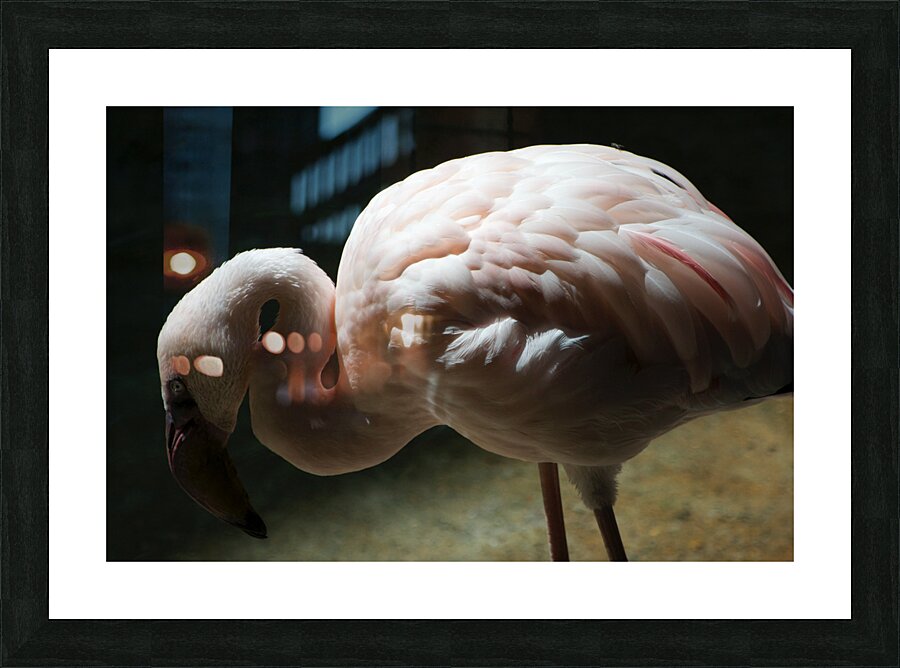 JB0 4842 Picture Frame print