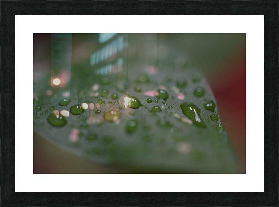 JB0 6094 Picture Frame print