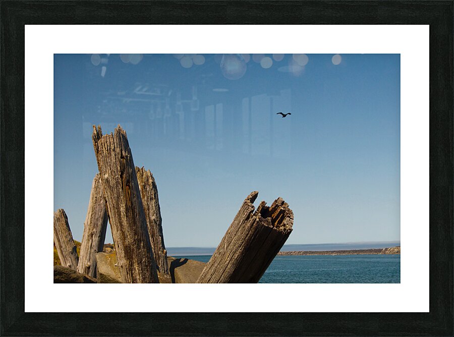 JB0 4207 Picture Frame print