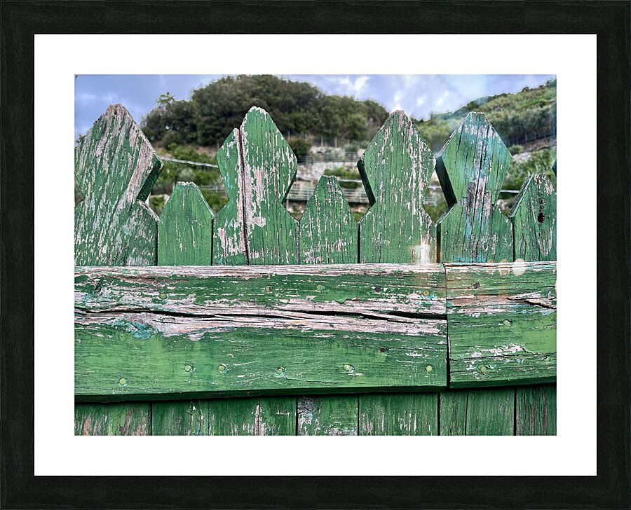 IMG 2150 Picture Frame print