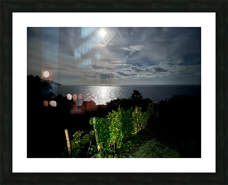 IMG 2355 Picture Frame print