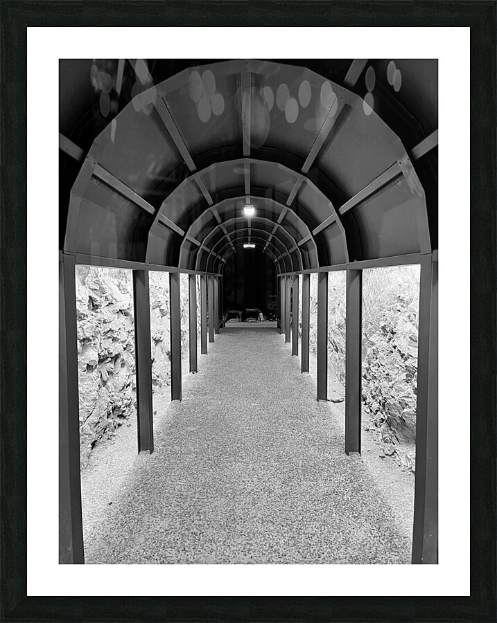 IMG 2128 Picture Frame print