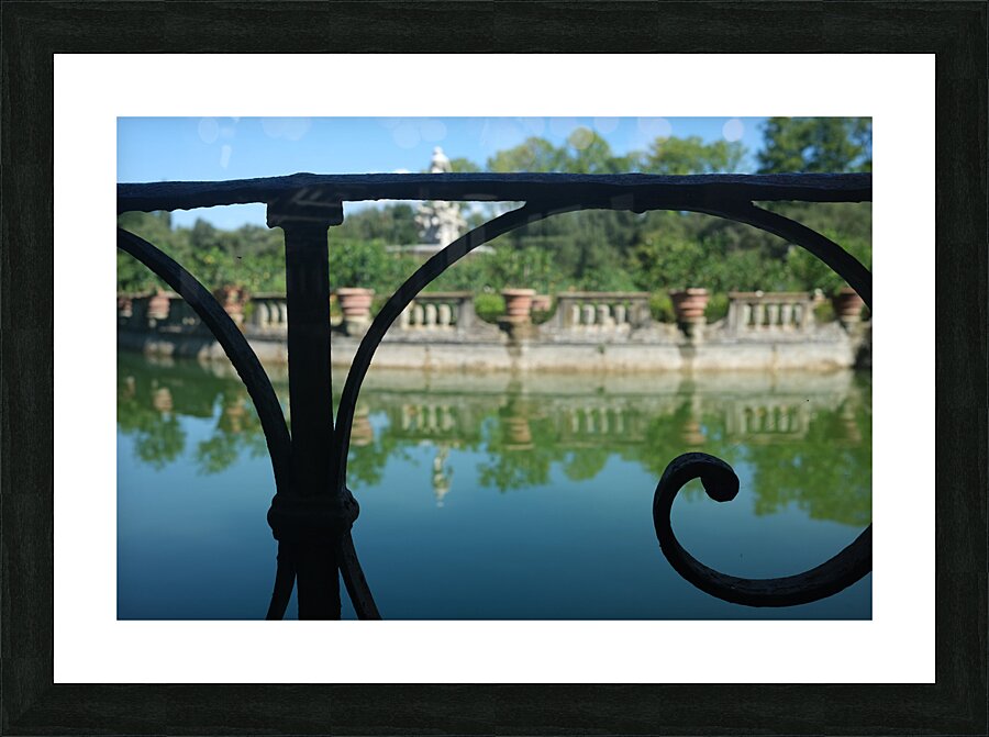 DSCF0656 Picture Frame print
