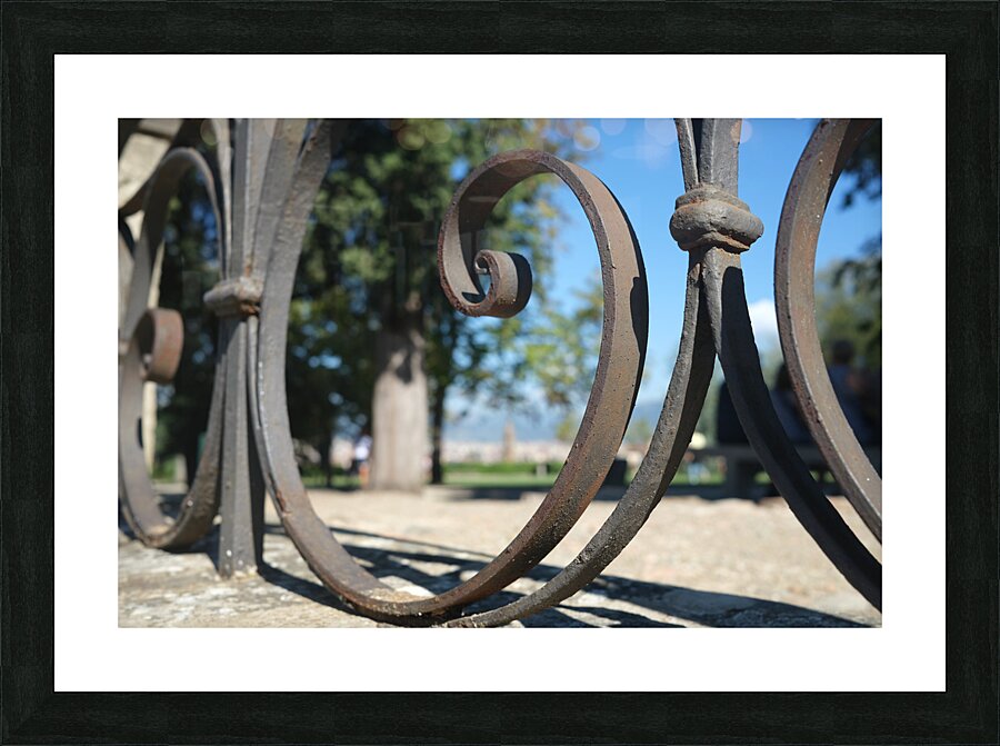 DSCF0619 Picture Frame print