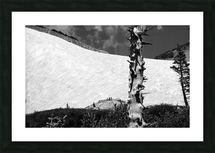 DSC 2413 Picture Frame print