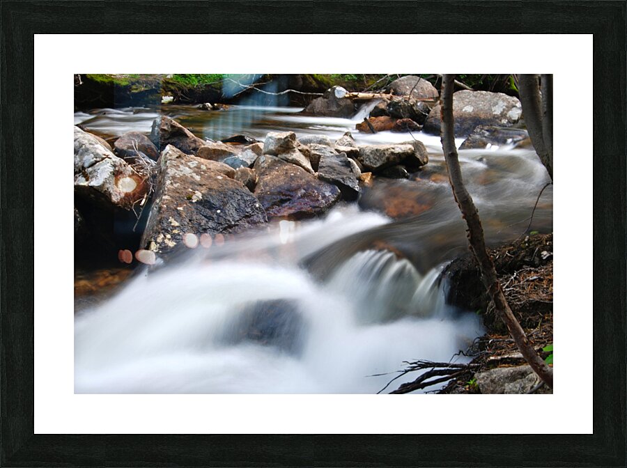 DSC 4373 Picture Frame print