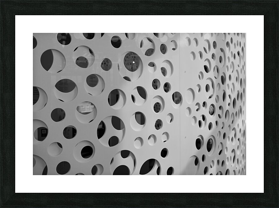 DSCF0450 Picture Frame print