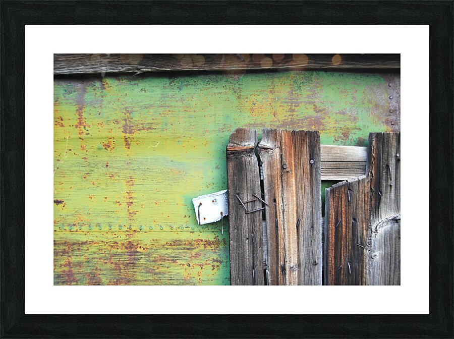 DSC 4353 Picture Frame print