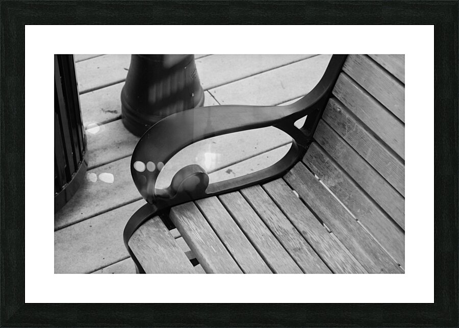DSC 3409 Picture Frame print