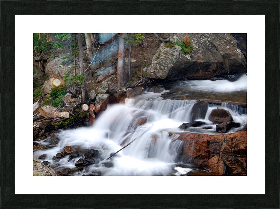 DSC 4417 Picture Frame print