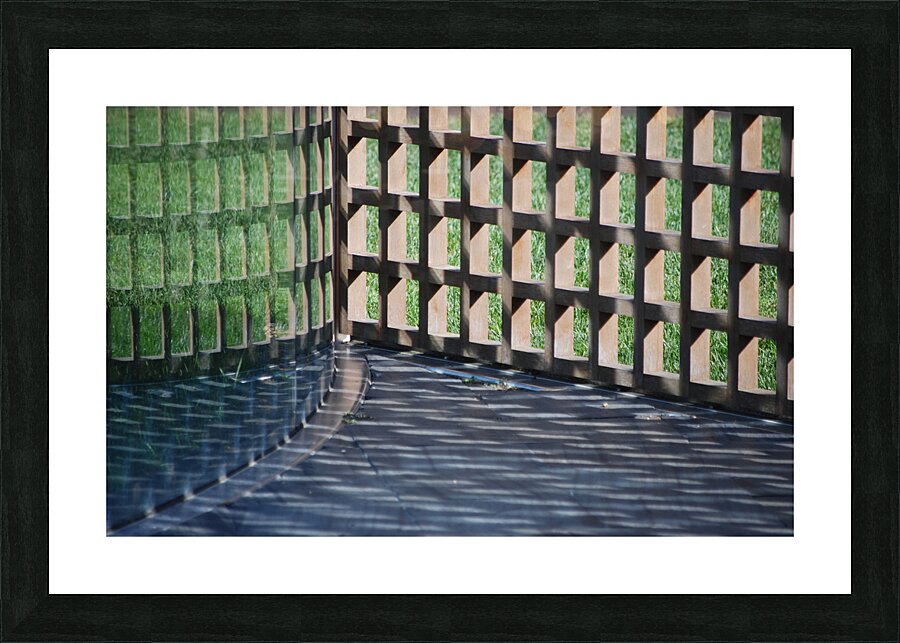 DSC 3434 Picture Frame print