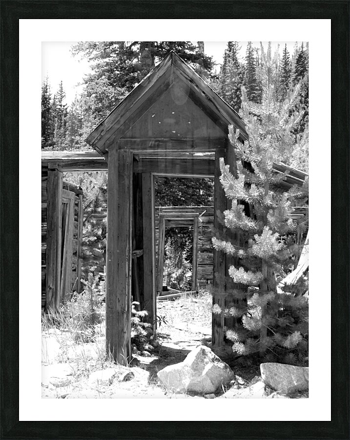 DSC 2518 Picture Frame print