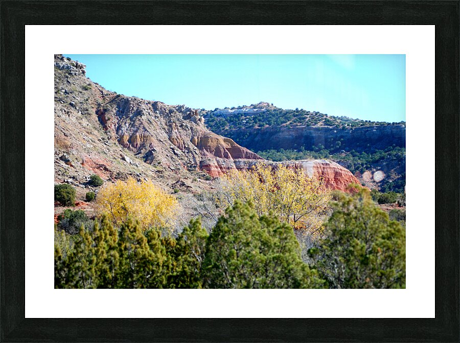 DSC 2864 Picture Frame print