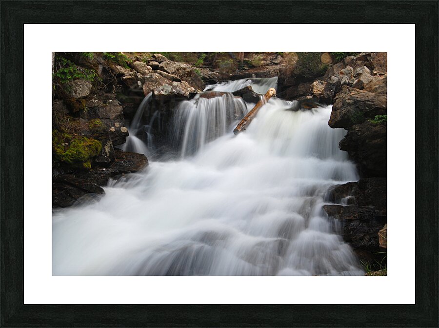 DSC 4381 Picture Frame print