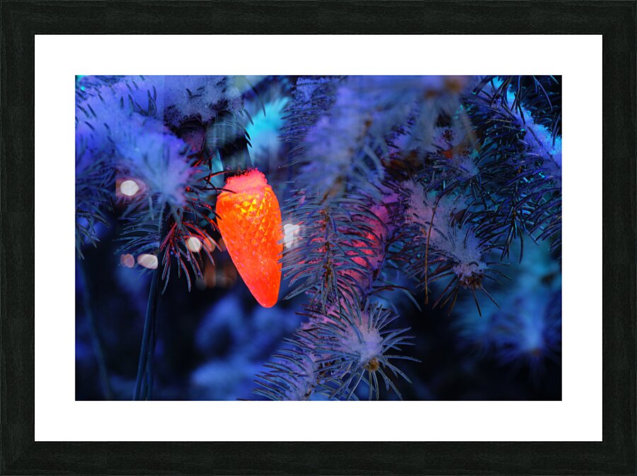 DSC 3661 Picture Frame print