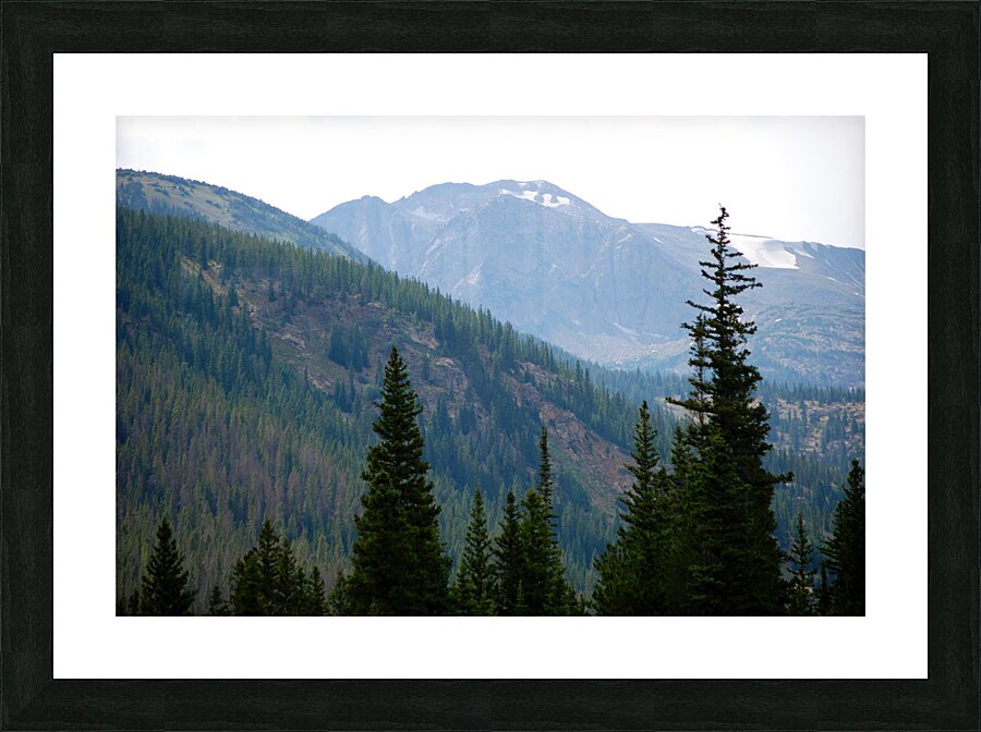 DSC 4476 Picture Frame print
