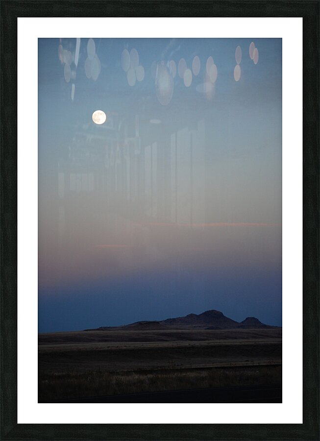 DSC 2825 Picture Frame print