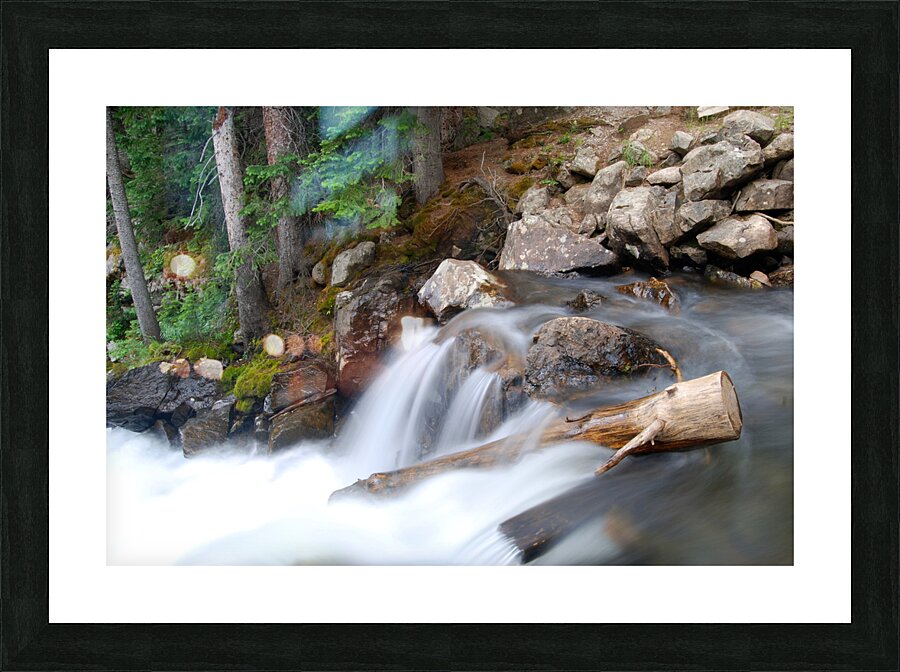 DSC 4388 Picture Frame print