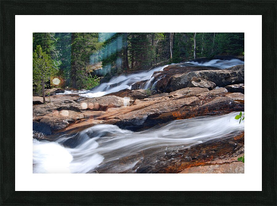 DSC 4432 Picture Frame print