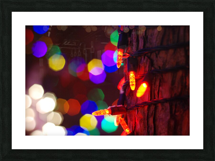 DSC 3643 Picture Frame print