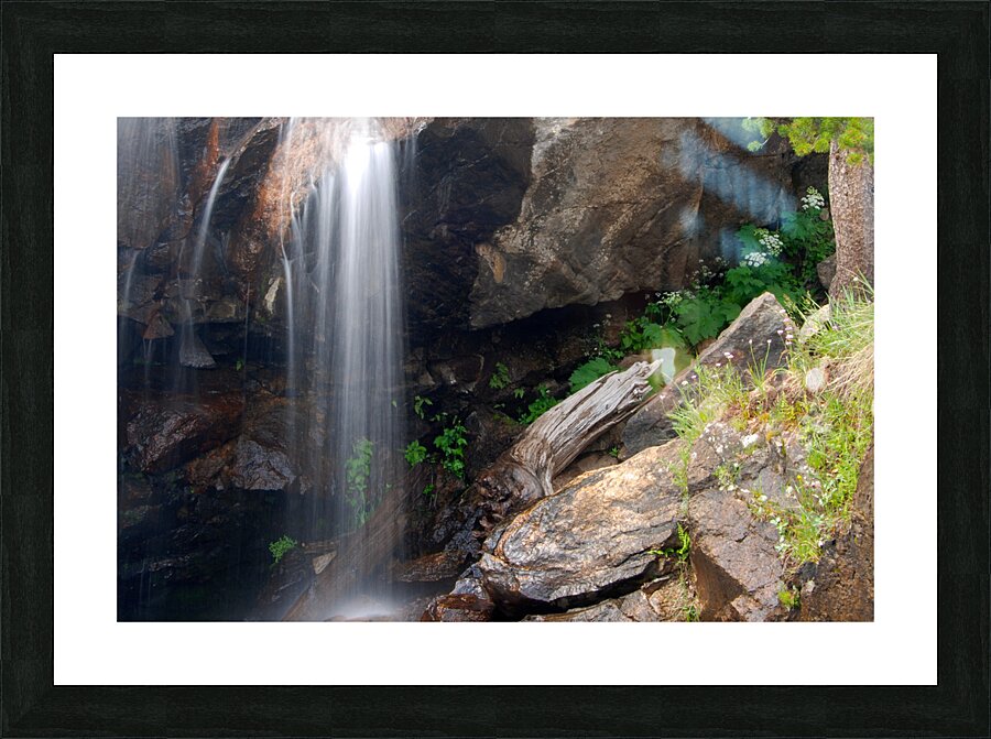 DSC 4425 Picture Frame print