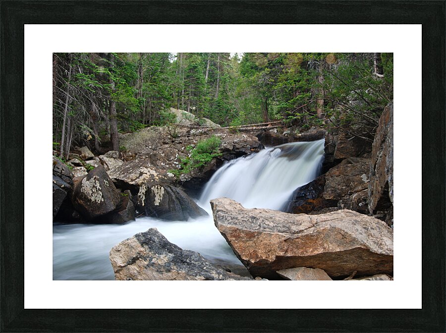 DSC 4385 Picture Frame print