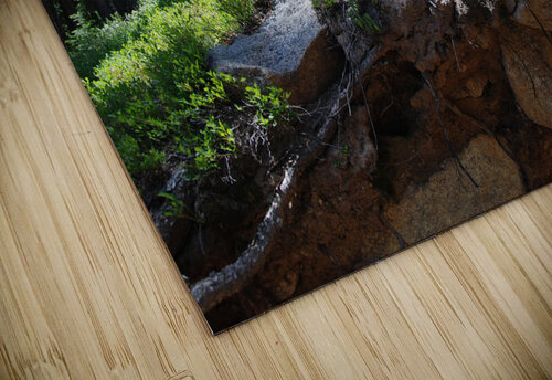DSC 2493 John Becker Photography puzzle