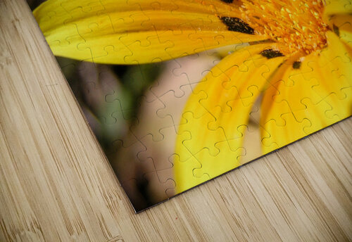 P9243808 John Becker Photography puzzle