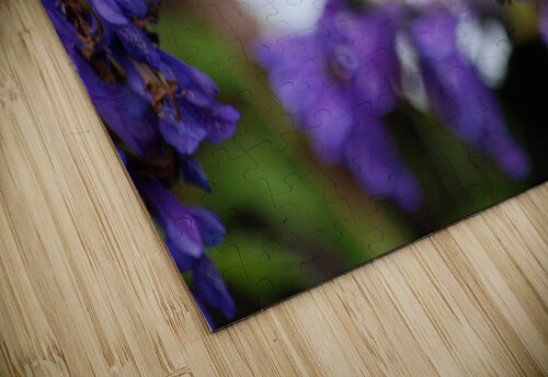 Hummingbird John Becker Photography puzzle