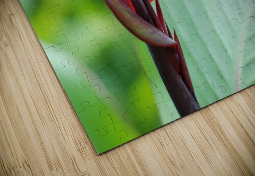 DSC 2040 John Becker Photography puzzle