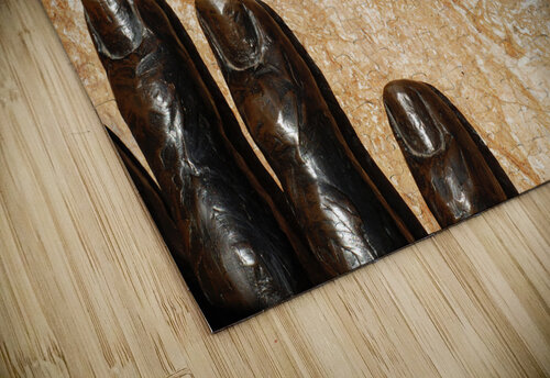 Partial Hand John Becker Photography puzzle