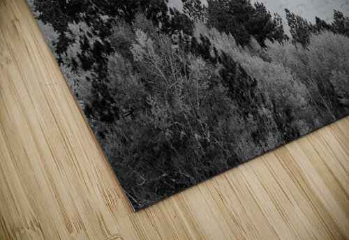 PA032608 John Becker Photography puzzle