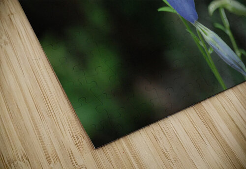 DSC 2332 John Becker Photography puzzle