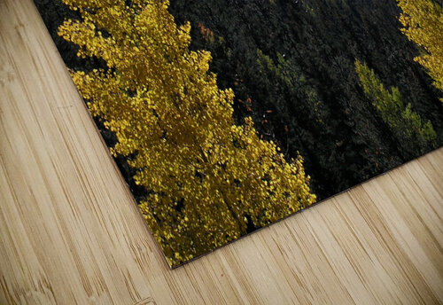 P9243812 John Becker Photography puzzle