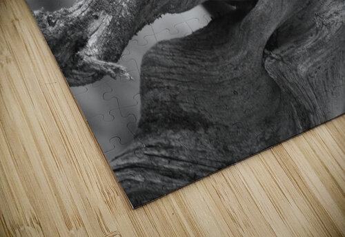 Gnarly Branch John Becker Photography puzzle