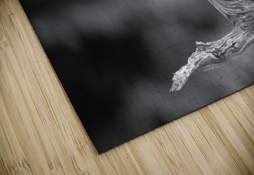 Lonely Branch John Becker Photography puzzle