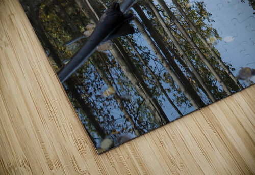 Aspen Reflections John Becker Photography puzzle